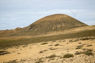 Volcanoes and desert landscape near Tindaya, Fuerteventura, Canary Islands, Spain, Europe