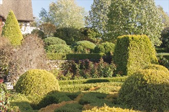 Cottage garden with topiary, hedges, trimmed bushes. Modern landscape design