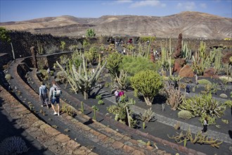 Cactus garden, Jardin de Cactus, designed by the artist César Manrique, Lanzarote, Canary Islands,