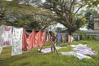 Indian man at the washing line in the laundry Dhoby Khana, Kochi, Kerala, India, Asia