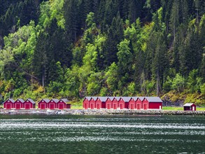 Mountains and Fiord over Norwegian Village in Olden, Innvikfjorden, Norway, Europe