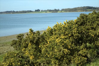 View upstream of the River Deben from Sutton, Suffolk, England, United Kingdom, Europe