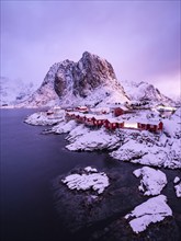 Rorbuer huts of Hamnoy at the fjord in the morning light, snowy mountains in the background,