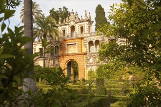 Gardens of the Alcazar palaces, Seville, Spain, Europe