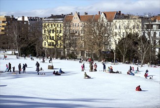 Tobogganing fun in Berlin's snow-covered Viktoriapark. Snow and icy cold continue to dominate the