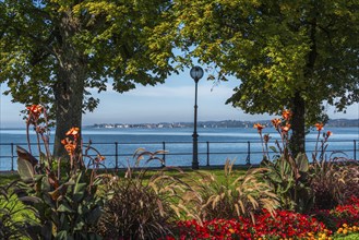 Bregenz on Lake Constance, Austria, lakeside promenade, Corniche, flower border, view of Lindau,