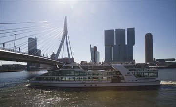 Erasmus Bridge, Erasmusbrug, spanning the River Maas designed by architect Ben van Berkel completed