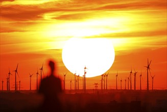 Joggers on Berlin's Drachenberg at sunset. A wind farm near Nauen in Brandenburg can be seen in the