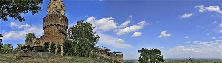 The Wachtenburg castle near Wachenheim close to Bad Dürkheim