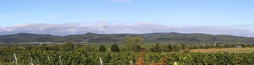 Panorama from the Haardtrand with a view of the Palatinate Forest