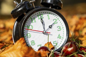 Symbolic image time change, autumn: An alarm clock among autumn leaves