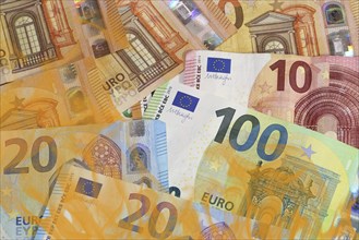 Symbolic image: Burning euro notes (euro banknotes) as a symbol of wasted money