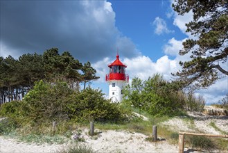 The Gellen lighthouse rises at the southern tip of the island of Hiddensee, Vorpommersche