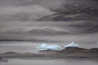 Icebergs in a fjord in the fog, mountainous, Tasiilaq, East Greenland, Greenland, North America