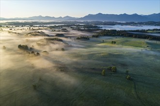 Aerial view of meadows and trees in front of mountains in backlight, sunrise, fog, autumn, Murnau,