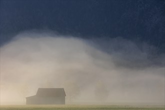 Wooden hut in the fog in front of mountains, morning light, Loisach-Lake Kochel-Moore, Bavaria,