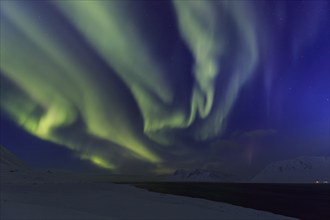 Yellow and green northern lights over snowy mountains, fjord, aurora borealis, winter,