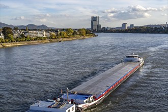 Cargo ship on the Rhine near Bonn, in the background the Post Tower, UN Campus, North