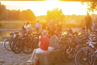 Summer evening at the Blue Wonder on the Elbe, Dresden Loschwitz, Dresden, Saxony, Germany, Europe