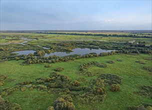 The Warta Estuary National Park, Park Narodowy Ujscie Warty, where the Warta flows into the Oder.