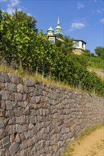 Weingut am Goldenen Wagen. The Spitzhaus is a former summer residence in the Saxon town of Radebeul