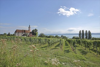 Baroque basilica with vineyards, landscape, nature, view of lake, view, pilgrimage church, Birnau,