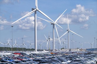 Storage area for new cars in the port of Vlissingen-Oost, vehicles are temporarily stored on over