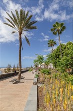 Promenade of Playa des Ingles, Gran Canaria, Canary Islands, Spain, Playa des Ingles, Gran Canaria,