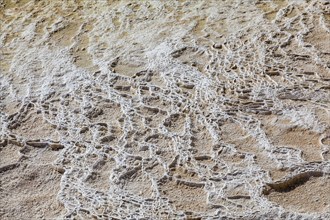 Sintered lime deposits, close-up, Turkey, Asia