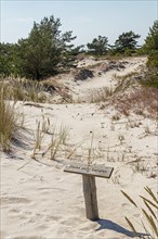 Trees, dunes, no trespassing sign, circular hiking trail, nature reserve, Darßer Ort, Born a. Darß,