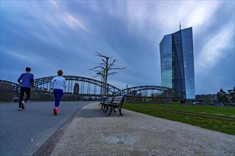 Building of the European Central Bank, ECB, on the Main in Frankfurt, park bench on the banks of