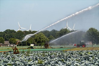 A field is artificially irrigated, water is sprayed onto the field via a sprinkler system,