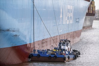 Magleby Maersk container freighter at EUROGATE Container Terminal, Waltershofer Hafen, disposal of