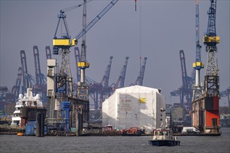 Port of Hamburg, Blohm + Voss shipyard, Dock 11, scaffolded ship, dry dock, Hamburg, Germany,