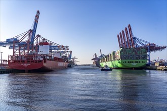 Container ship Ever Gifted, arriving at the port of Hamburg, Waltershofer Hafen, HHLA Container