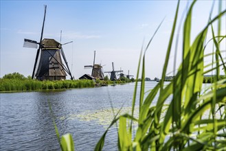 Kinderdijk, 18 windmills designed to pump water from the polders to utilise the land, one of the