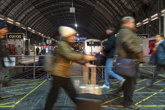 Frankfurt am Main main station, ICE train on platform, traveller, Hesse, Germany, Europe