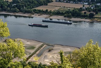 The Rhine at extremely low water, near Bad Honnef, below the Drachenfels, Nonnenwerth Island, dry