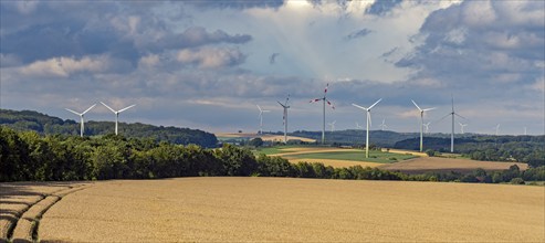 Landscape in Lipperland Panorama North Rhine-Westphalia Germany