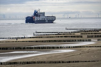 The DFDS cargo ferry Begonia Seaways, loaded with lorry trailer and new cars, leaves the