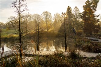 The Grugapark, Essen, botanical garden, park for leisure and recreation, by the forest lake, wooden