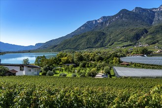 Lake Kaltern, near the village of Kaltern, in the Adige Valley in South Tyrol, one of the two