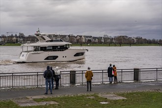 Flood of the Rhine near Düsseldorf, North Rhine-Westphalia, Germany, Europe