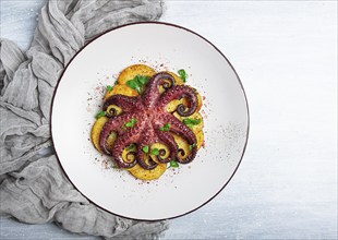 Octopus with potatoes and spices, on a light plate, top view, no people, homemade, close-up