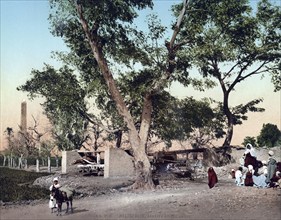 Heliopolis, Sakkieh and obelisks, Egypt, Historical, digitally restored reproduction from a 19th