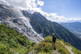 Mountaineer between alpine roses on a hiking trail, impressive mountain landscape with glacier,