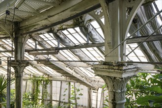 Cast-iron columns and glass roof, historic greenhouse, Palm House, Botanical Garden or Botanisk