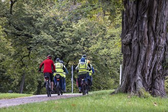 Cyclist on the road in Rosensteinpark, a park landscape in the centre of Stuttgart,