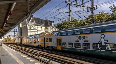 Tiergarten S-Bahn station with local and long-distance trains, Berlin, Germany, Europe