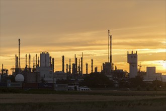 BASF, Lugwigshafen on the Rhine, industrial area, dusk, Mannheim, Baden-Württemberg, Germany,